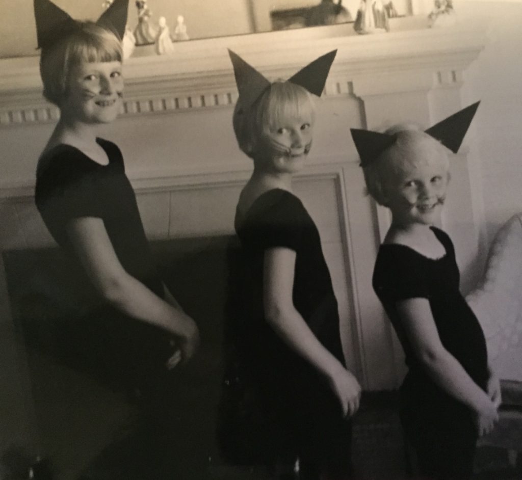 4-sister-cats